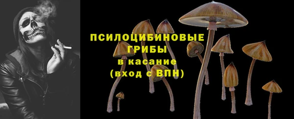 Альфа ПВП Арсеньев